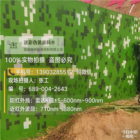 榆林星空迷彩漆，夏令营训练,数码迷彩作训墙,围墙