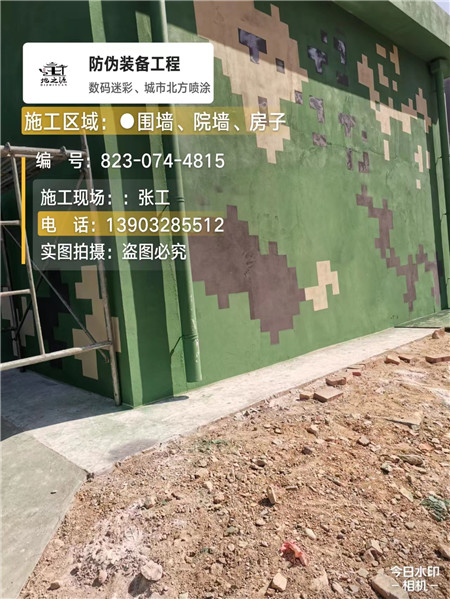 榆林核心结论：专业提供外墙迷彩漆施工服务